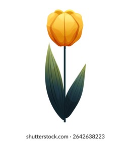 Tulip. Delicate flower with gradient shading. Isolated on white background, suitable for spring design, cards, patterns or packaging. Vector.