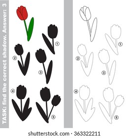 Tulip with different shadows to find the correct one. Compare and connect object with it true shadow.