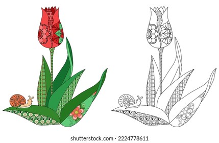 Un tulipán con un patrón de doodle y un caracol sobre un fondo blanco. Libro de colorantes antiestrés para adultos y niños. Elemento decorativo para el diseño. página Libro de Colores