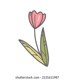 Tulipán al estilo de doodle. Ilustración aislada del vector.