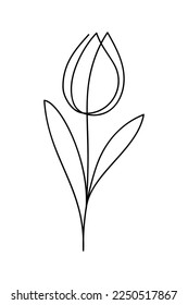 Tulip drawing in single continuous line art style. Hand drawn contour vector illustration of spring flower.