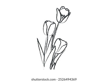 Tulipa desenhada com lápis preto sobre fundo branco