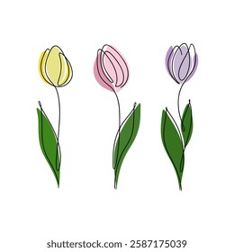 The tulip is drawn in one continuous line manually. Color illustration of spring multicolored flowers, vector. Botanical blooming element for decoration, greeting card, banner, holiday, icon set