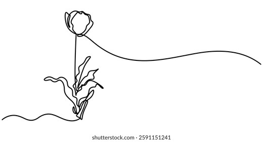 The tulip is drawn in one continuous line, Flower drawing mono line. Continuous line icon on white background, Tulip Continuous Line Icon, Tulip.