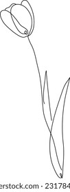 Tulip drawn in vector one line on white background, tulip black one line art, vector for design, minimalism