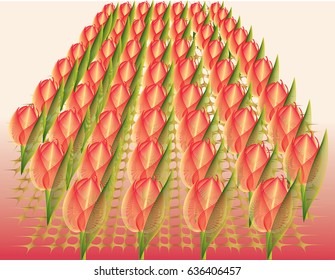 Tulip farm with pink gradient