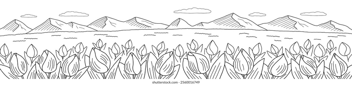 Tulip field graphic black white landscape sketch long illustration vector 