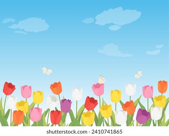 Tulip field landscape background frame