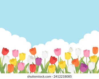 Tulip field landscape background frame