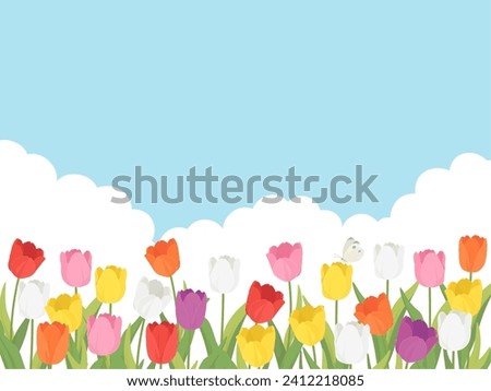 Tulip field landscape background frame