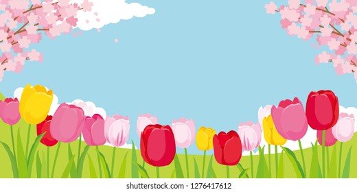 Tulip Fields and Cherry Blossoms. Spring landscape of illustrations