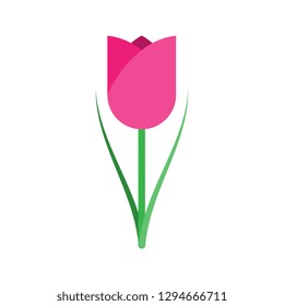 tulip flat icon on white background for international womens day banners, posters, invitations, cards. vector illustration easy to edit and customize. eps 10