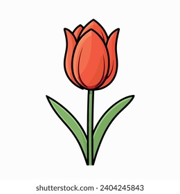 Tulip flat vector illustration. Tulip cartoon hand drawing isolated vector illustration.