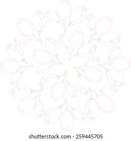 tulip flora flower vector linear