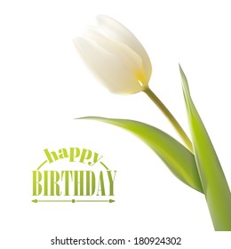 Tulip, floral background. Vector illustration.