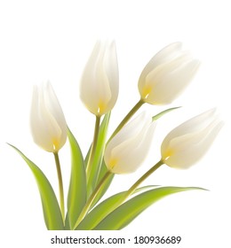 Tulip, floral background. Vector illustration.