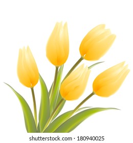 Tulip, floral background. Vector illustration.