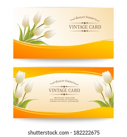 Tulip, floral background for your card.