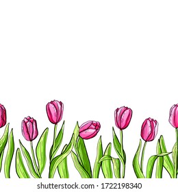 Tulip floral set pink border petal leaf