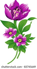 tulip flower