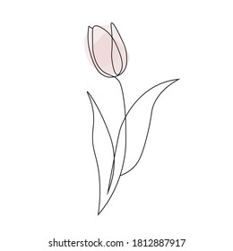 Tulip Flower Abstract Minimalistic Style Vector Stock Vector (Royalty ...