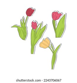 Tulip Flower Aesthetic Pastel Color Sticker Collection Set