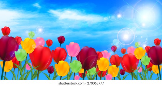 Tulip flower background