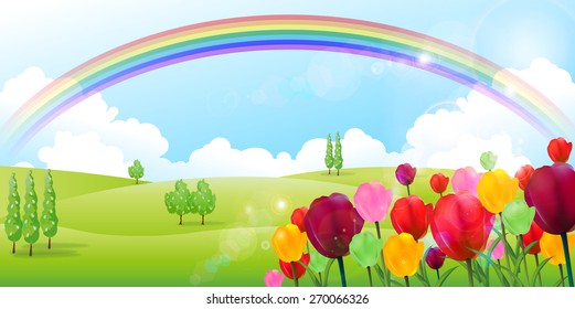 Tulip flower background