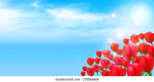 Tulip flower background