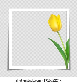 Tulip Flower Background Photo Frame Template for post in Social Network. Vector Illustration