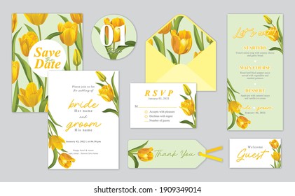 Plantilla de fondo de flor de tulipán. Conjunto vectorial de elementos florales para invitaciones de boda, tarjeta de saludo, sobre, vale, folletos y banners de diseño.