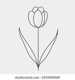 Tulip Flower Best Line Art