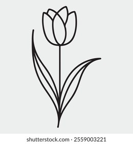 Tulip Flower Best Line Art