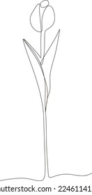 Tulip Blume Schwarz-Weiß durchgehende Linienzeichnung. Eine Linie Kunst, Vektorgrafik