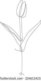 Tulip Blume Schwarz-Weiß durchgehende Linienzeichnung. Eine Linie Kunst, Vektorgrafik