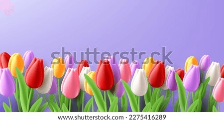 Tulip flower border to the bottom of the screen, colourful 3d render style blossom