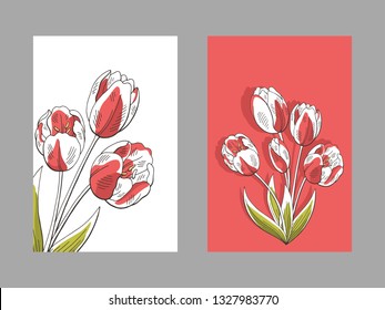 Tulip flower bouquet graphic color vertical greeting card banners set background sketch illustration vector