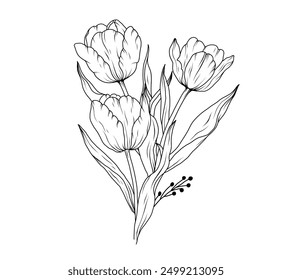 Tulip flower bouquet line art sketch. Floral outline hand drawn spring bouquet. Tulips black vintage linear bouquet vector illustration