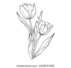 Boceto de arte de línea de ramo de flores de tulipán. Ramo de primavera dibujado a mano de contorno floral. Ilustración vectorial de ramo lineal vintage negro de tulipanes