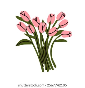 Tulip flower bouquet. Spring floral bunch, fresh blossoms with delicate gentle petals, stems. Elegant gorgeous garden blooms bundle. Flat graphic vector illustration isolated on white background