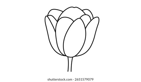 Tulip flower coloring page outline showcasing the iconic simple cup like shape of the classic spring bloom