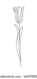 Tulip flower in continuous line art drawing style. Minimalist black linear sketch isolated on white background. Vector illustration