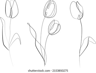 Tulip Flower Continuous Line Art Drawing Stock Vector (Royalty Free ...