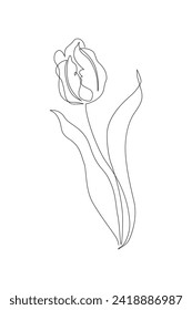 Tulip flower continuous line art drawing style. Tulip line sketch. Mother`s day concept. Botanical floral linear design background. Hand drawn vector illustration for wedding poster, invitation card