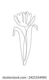Tulip flower continuous line art drawing style. Tulip line sketch. Mother`s day concept. Botanical floral linear design background. Hand drawn vector illustration for wedding poster, invitation card
