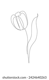 Tulip flower continuous line art drawing style. Tulip line sketch. Mother`s day concept. Botanical floral linear design background. Hand drawn vector illustration for wedding poster, invitation card