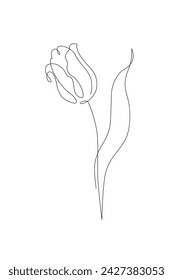 Tulip flower continuous line art drawing style. Tulip line sketch. Mother`s day concept. Botanical floral linear design background. Hand drawn vector illustration for wedding poster, invitation card