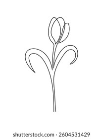 Tulip flower in continuous line art drawing style. Minimalist black linear sketch isolated on white background. Flower vector illustration	