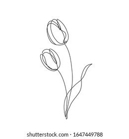 Tulip flower continuous line drawing. One line art. Vector illustration