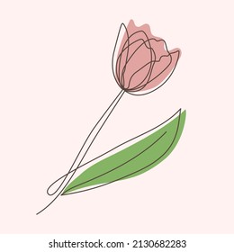 Tulip flower continuous one line art. Minimalist contour drawing. Single one line drawing. Vector illustration
